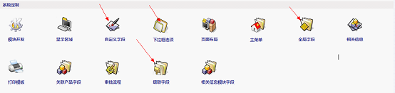 自定义字段